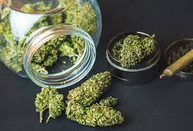Top 5 Reasons to Incorporate CBD Flowers into Your Daily Routine