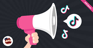 Breaking Barriers with TikTok Ads: A New Era of Brand Storytelling
