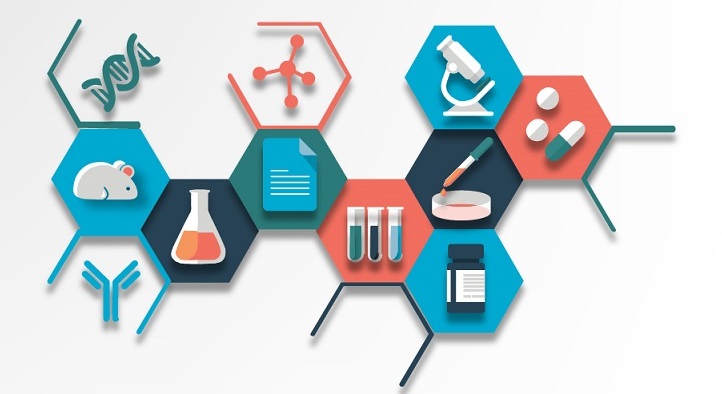 A Fast-Track to Success in the Pharmaceutical Industry