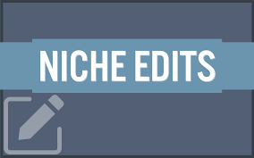 Buy a Niche Edit for Instant SEO Credibility