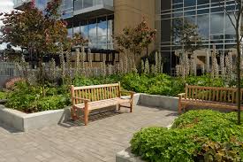 Why Efficient Water Management Is Essential for Modern Commercial Landscaping