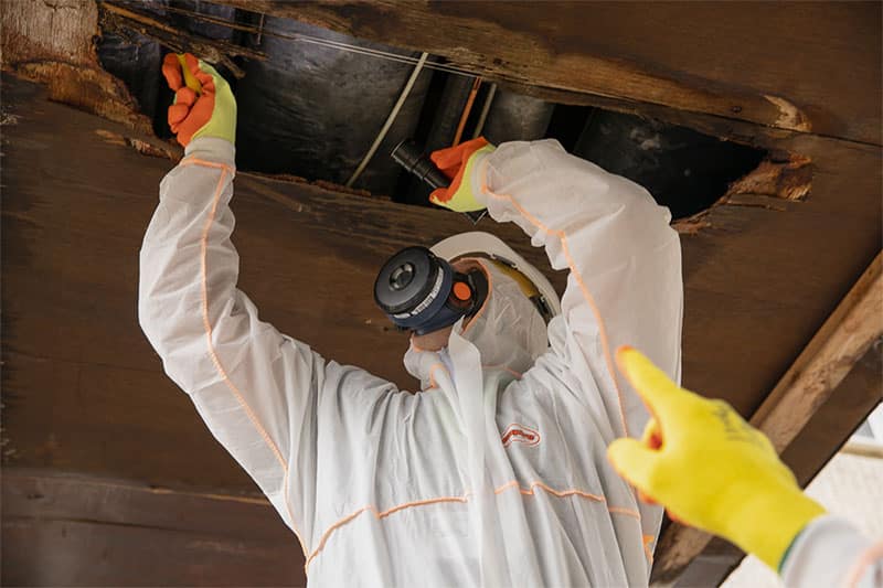 Asbestos Testing – Professional Testing Services with Quick Results